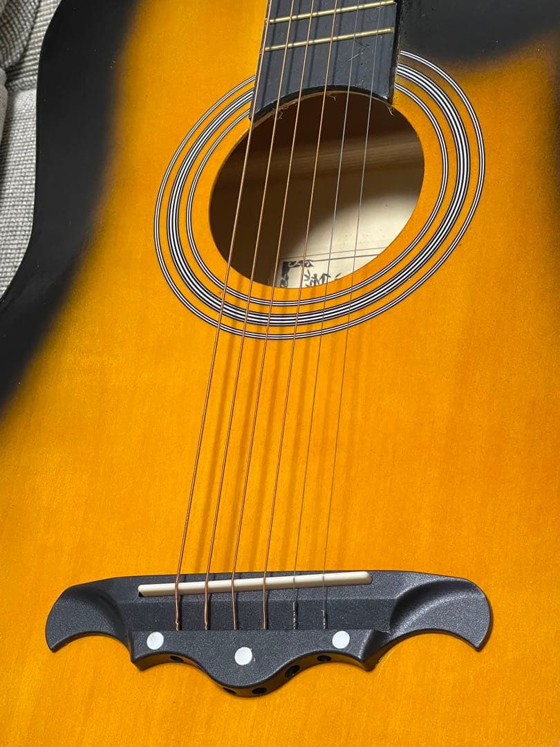 acoustic guitar