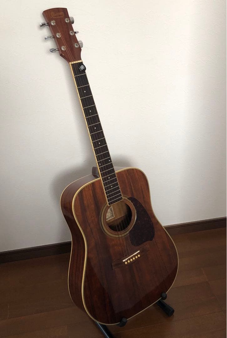Guitar Beginner Set with Case and Stand