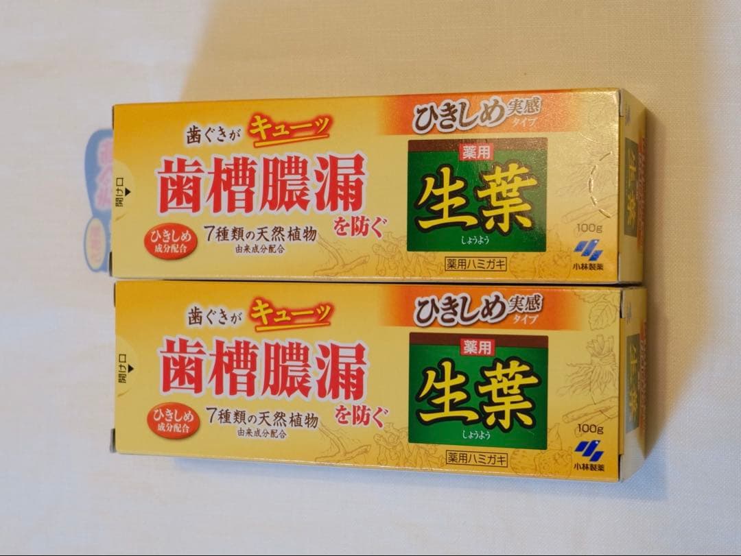 Fresh Leaf Toothpaste 100g Set of 2